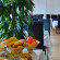 Best Western Park Airport Hotel 