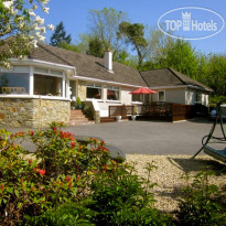 Pineforest Bed & Breakfast 