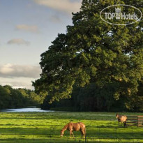 Castlemartyr Resort 