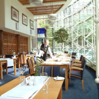 The Stephen's Green
