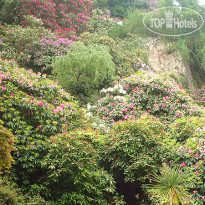 Deer Park hotel Golf and Spa