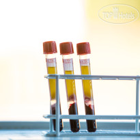 Mind Hotel Slovenija 