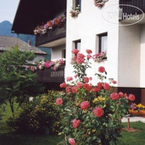 B&B Brezov Gaj 