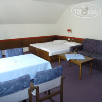 Triglav APT типа С