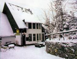 Hotel photo Martin 4*