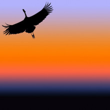 Фото пользователя ТопХотелс