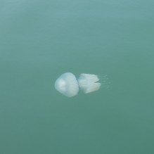 Фото пользователя ТопХотелс