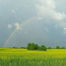 Фото пользователя ТопХотелс