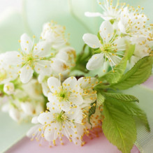 Фото пользователя ТопХотелс