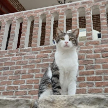 Фото пользователя ТопХотелс