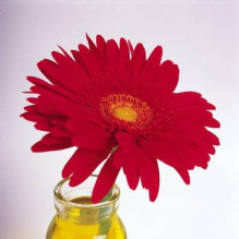 Фото пользователя ТопХотелс