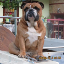 Фото пользователя ТопХотелс