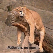 Фото пользователя ТопХотелс