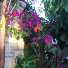 Фото пользователя ТопХотелс