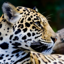 Фото пользователя ТопХотелс