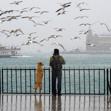 Фото пользователя ТопХотелс