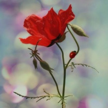 Фото пользователя ТопХотелс