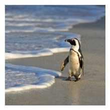 Фото пользователя ТопХотелс