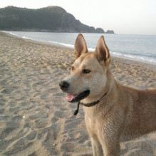 Фото пользователя ТопХотелс