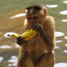 Фото пользователя ТопХотелс