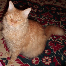 Фото пользователя ТопХотелс