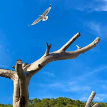 Фото пользователя ТопХотелс