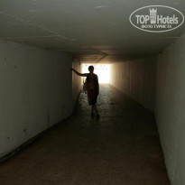 фото из отзыва ID 100768