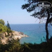 фото из отзыва ID 100782