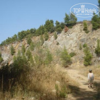 фото из отзыва ID 100782