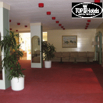 фото из отзыва ID 100065