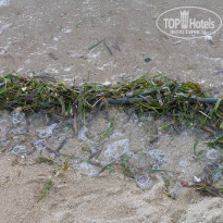 фото из отзыва ID 100194