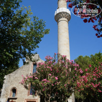 фото из отзыва ID 1000033