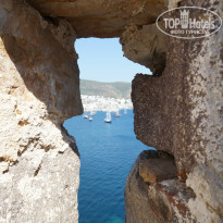 фото из отзыва ID 1000033