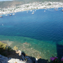 фото из отзыва ID 1000033