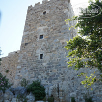 фото из отзыва ID 1000033