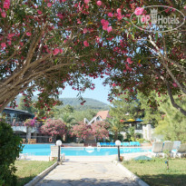 фото из отзыва ID 1000033