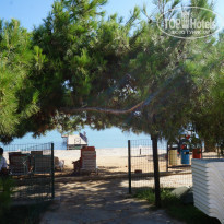 фото из отзыва ID 1000033