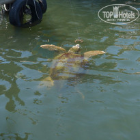 фото из отзыва ID 1000033