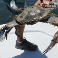 фото из отзыва ID 1000033