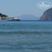 фото из отзыва ID 1000033