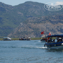 фото из отзыва ID 1000033