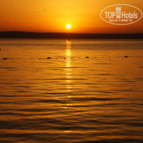 фото из отзыва ID 1000033