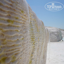 фото из отзыва ID 1000033