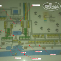 фото из отзыва ID 1000130