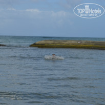 фото из отзыва ID 1000152