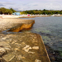 фото из отзыва ID 1000166