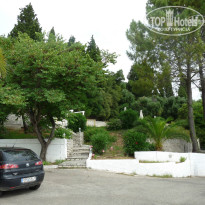 фото из отзыва ID 1000187