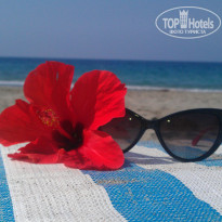 фото из отзыва ID 1000269