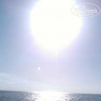 фото из отзыва ID 1000269