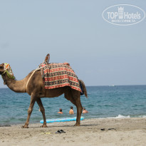 фото из отзыва ID 1000269